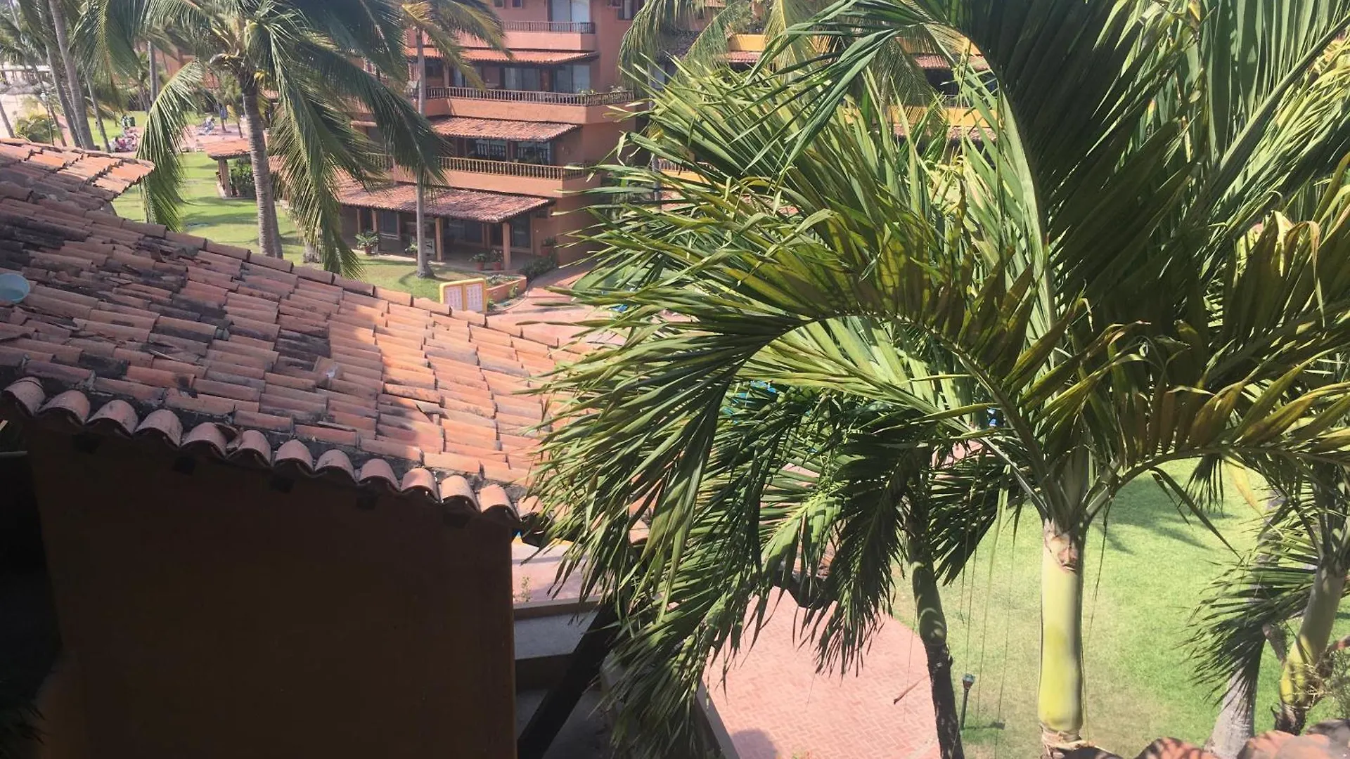 Hotel Los Tules à Puerto Vallarta